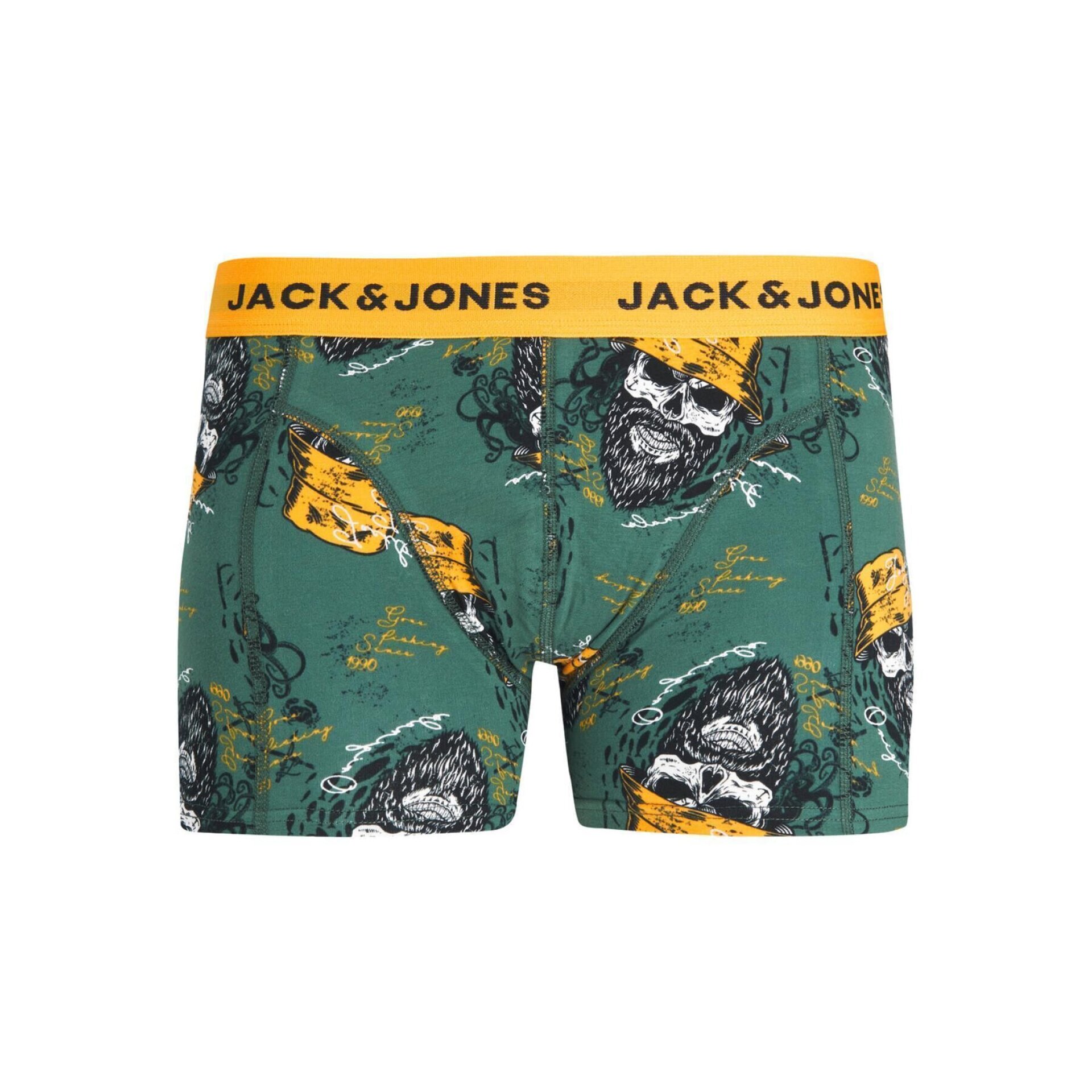 Boxer - 2