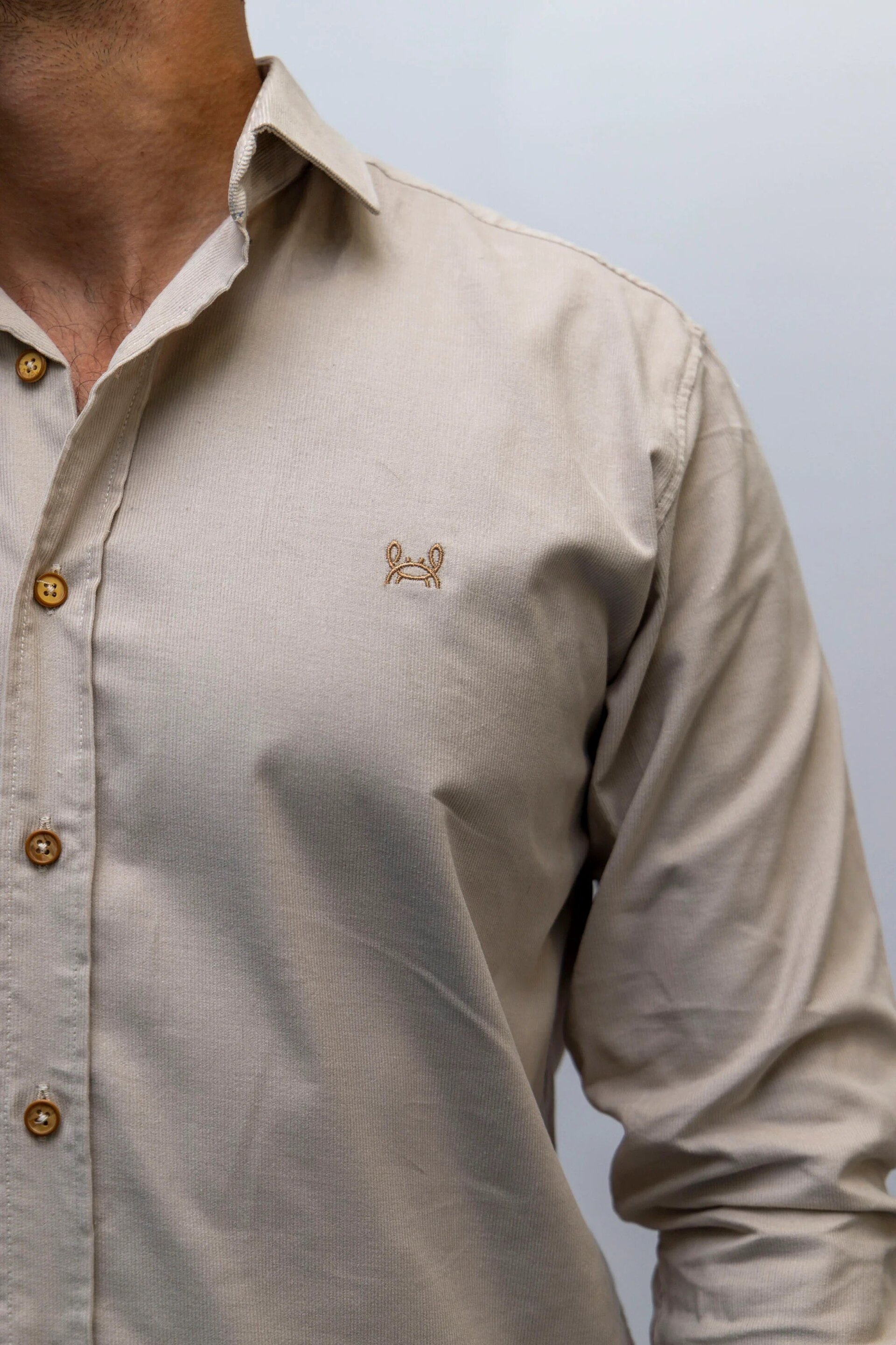 CAMISA MICROPANA PIEDRA - 2