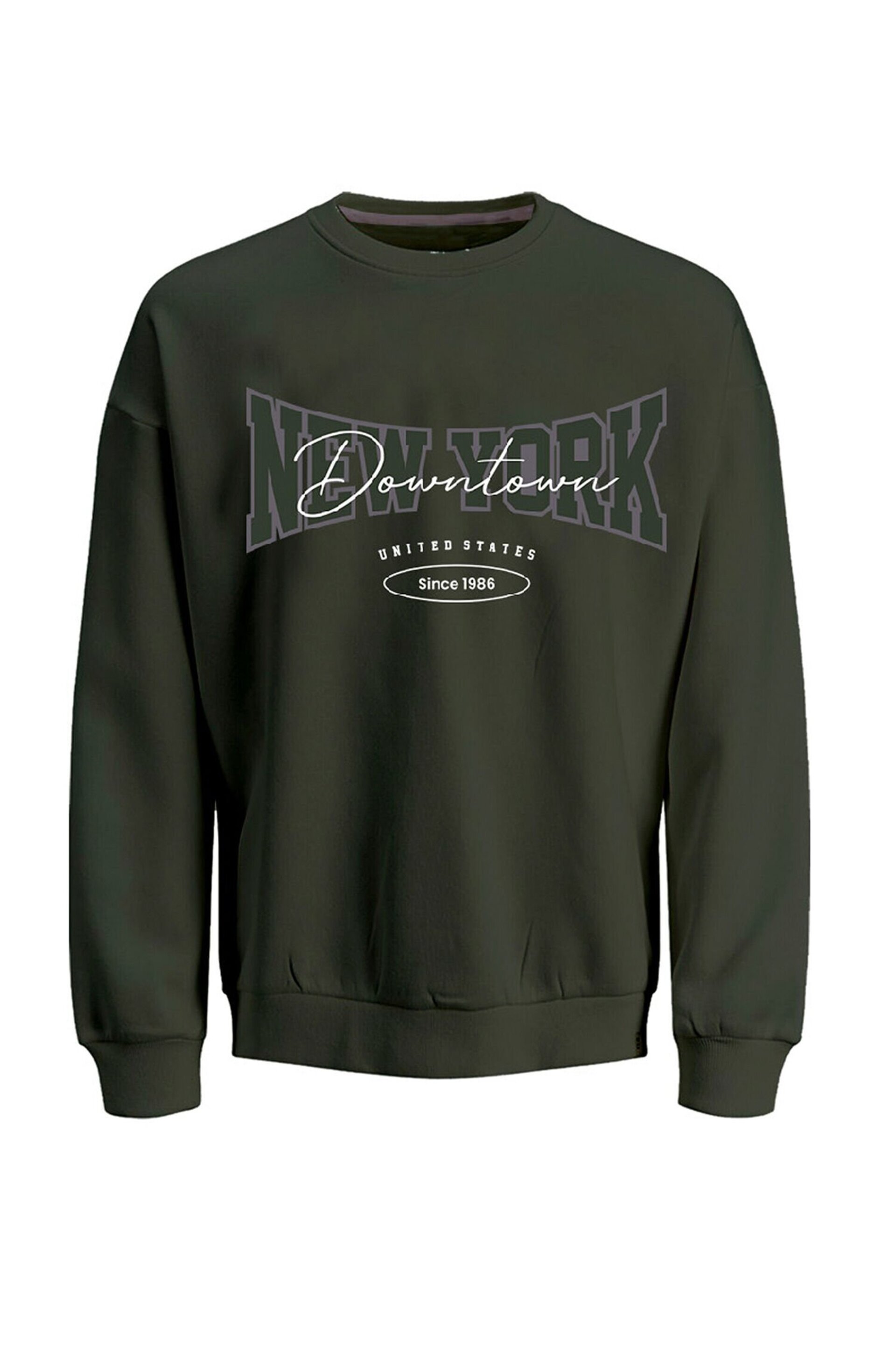 SUDADERA REGULAR FIT VERDE - 7