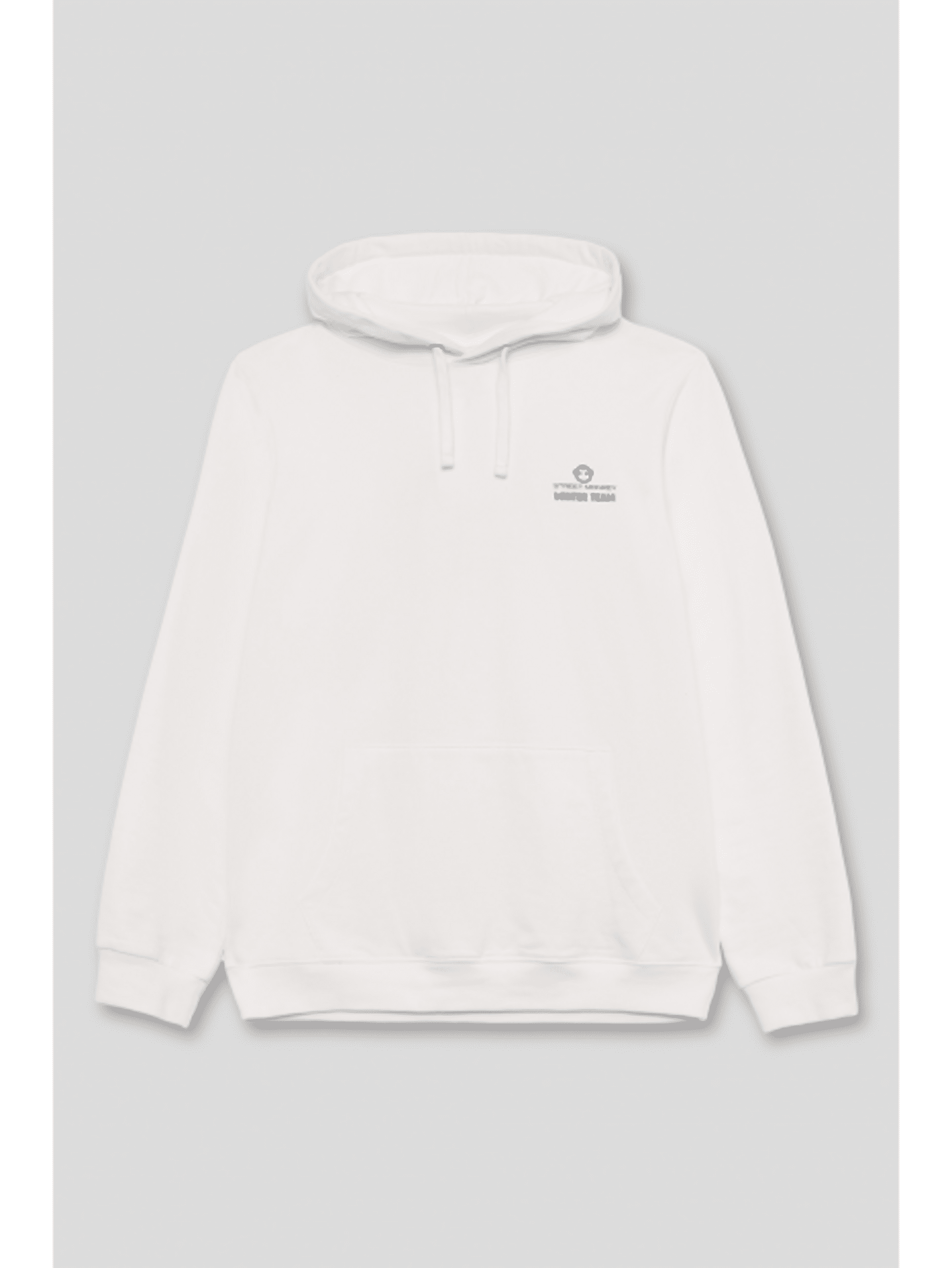 SUDADERA WINTER TEAM - 3
